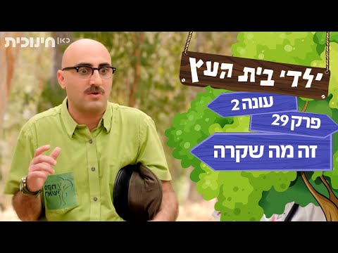 וִידֵאוֹ: כיצד לגלות הכל על החברה