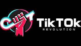 TikTok Revolution: Hustle-Free, Millions of views