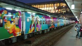 5931次 洄瀾之心普悠瑪 TEMU2035-2036 花蓮開車