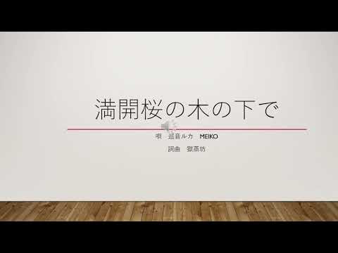 満開桜の木の下で　巡音ルカ＊MEIKO　(オリジナル)