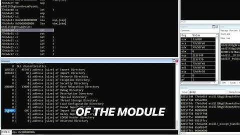 🛠️ Master WinDbg & Bypass Stack Protection!