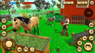 HORSE SIMULATOR LIFE SIM 3D ANDRIOD GAMEPLAY  screenshot 5