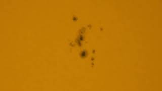 Sunspots 4099, 4100 31 May 2025