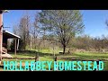 Bug nets, planting more seeds, and taking dogs down to the water