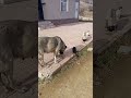 na dancingu