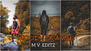 Moody Orange Preset Free Download | Lightroom Tutorial 2020 🔥 M V  EDITZ |Download Free DNG File 🔥 screenshot 5