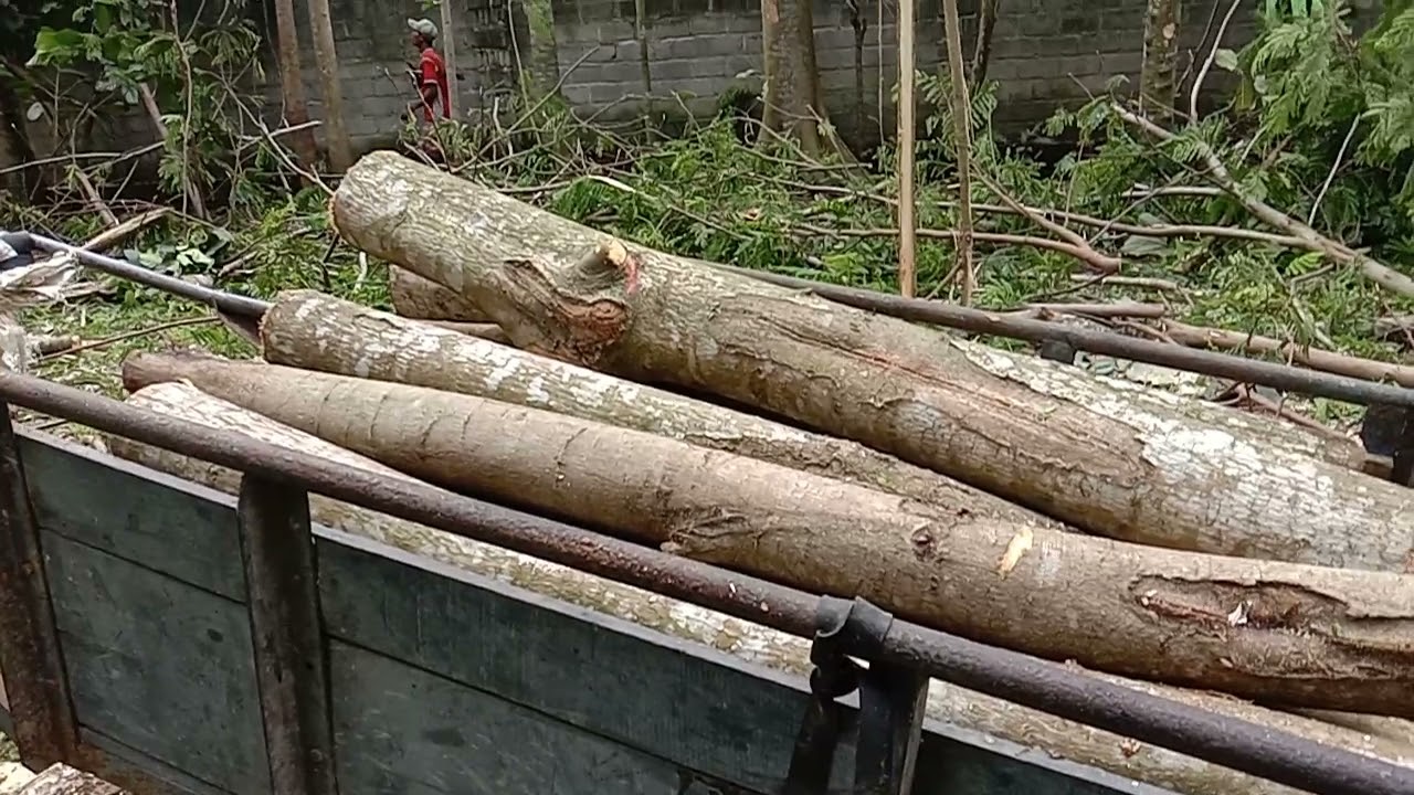 SENGON BALAP BLITAR RAYA PCCdi DS.ringinanom Udanawu blitar semangat tanpa batas