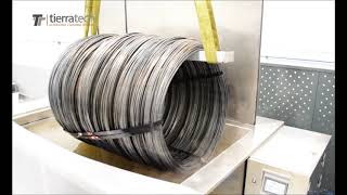 Cleaning carbon steel wire rod