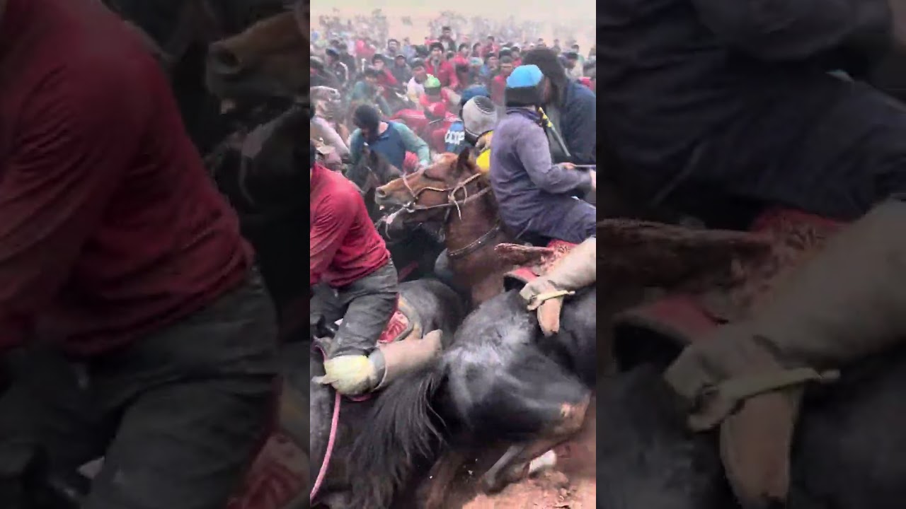 Тараз 13.04.2024 ж Акылбек ағамыздың көкпарынан үзінді