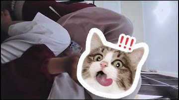 TUGAS VIDEO INFORMATIKA KELOMPOK 2 KELAS XII-3