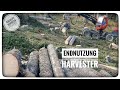 Harvester Komatsu 931xc Endnutzung /Clear-cutting /Jagdschlag/Forst