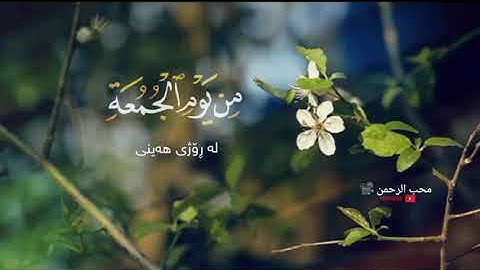 حالات واتس اب يوم الجمعة | القارئ ياسر الدوسري 🍃