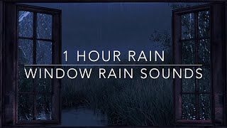 Heavy Rain and Thunder  Window Rain Sound  1 hour Rain Sounds for Sleep  Green noise