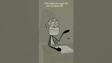 Flies when you open the door for them(4K Memes)😂🤣