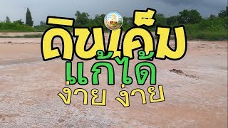 กรมพัฒนาที่ดิน - ฝ่าวิกฤตดินเค็มได้ไม่ยากอย่างที่คิด