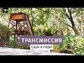 Сад Трансмиссия. Выставочный сад.