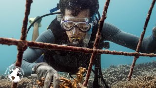 Conservation around Fregate Island – Blancpain