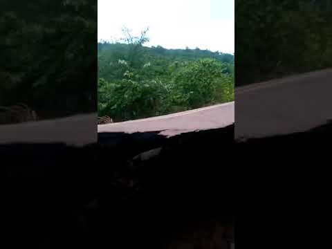 Trecho da BR-222 se rompe entre Buriticupu e Santa Luzia