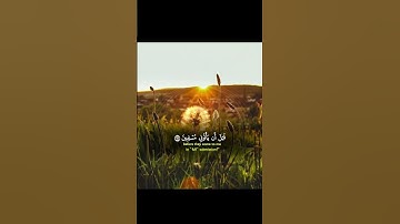 آيات من القرآن الكريم #قران_كريم #قرآن #quran