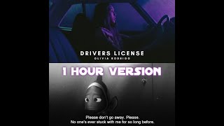 Olivia Rodrigo - Driver's License & Dory - Please don't go away [1 Hour Version] [Lyrics]
