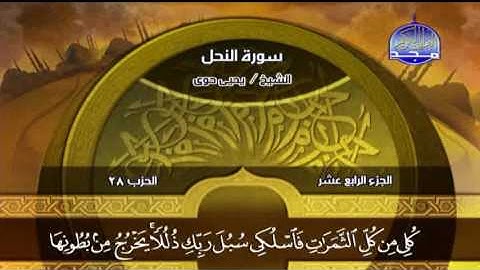 أواخر سورة النحل بصوت القارئ يحيى حوا  Almajd3 Quran