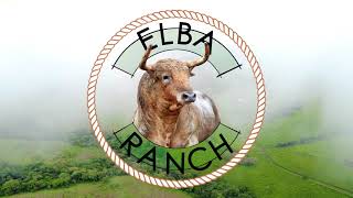 ELBA RANCH NDAWARA BABA DANPULLO GROUP Wealth