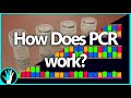 Everything You Could Want To Know About PCR