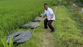 Tes Terbang 4 Babon 150cm sebelum dijual ke pembeli