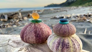 Beachcombing Magazine September October 2020