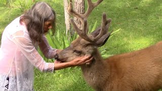 Marlis with her Deer in the Yard   2019