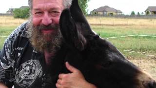 Colorado State University Distinguished Professor Bernie Rollin - Lifetime Achievement Award