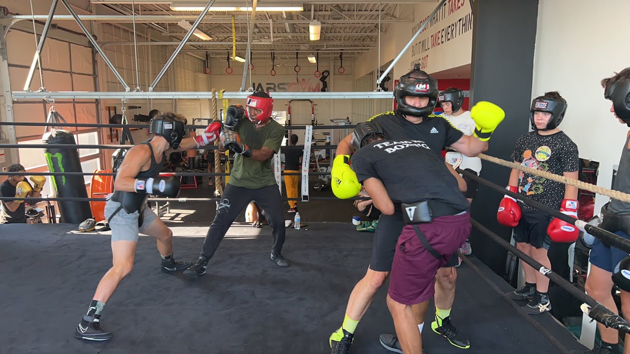 K9 Boxing Jabs Gym Birmingham YouTube