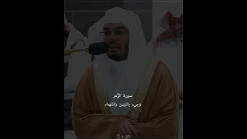 وأشرقت الارض بنور ربها..|سورة الزمر|ياسر الدوسري|#قرآن #ياسر_الدوسري #سورة_الزمر