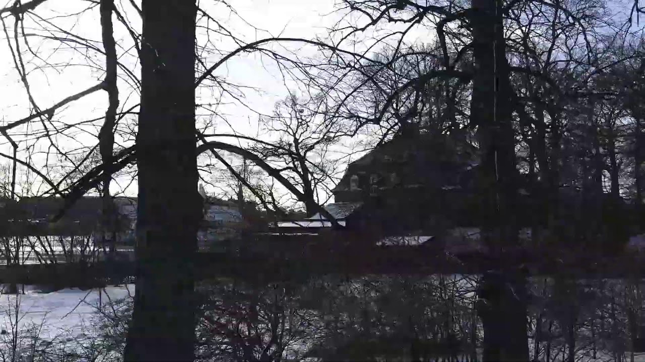 Stockholm 19 February 2026