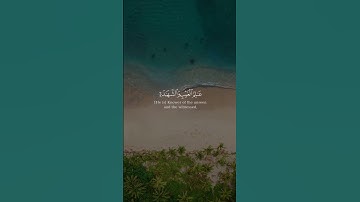 الله يعلم ما تحمل كل أنثى من سورة الرعد بصوت أبو بكر الشاطري