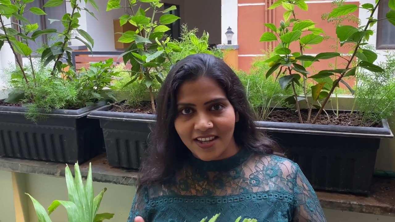 Bhai kadai Mutton Biryani - YouTube