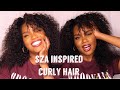 SZA INSPIRED BRAZILIAN CURLY WIG | AFFORDABLE CURLY HAIR | NADULA HAIR REVIEW |