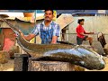 Kasimedu  mr arumugam  31 kg brown cobia fish cutting  in kasimedu  ff cutting 