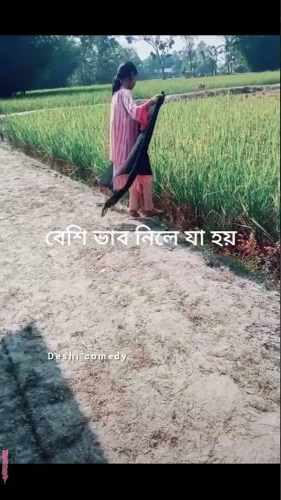 Bangla funny video  | Mayajaal | #shorts #ytshorts  #youtubeshorts