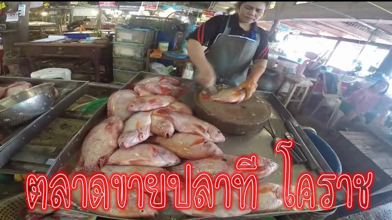 ตลาดขายปลาที่ตลาดย่าโม โคราช