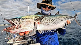 BIG City Mackerel! How is the fishing so good here?!