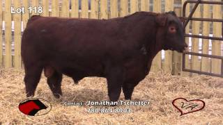 Lot 118