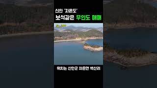 [목포토지사랑 307] 내 무인도 하나쯤은 있어야지? 신안 자은도 숨겨놓은 보석같은 무인도 매물 공개! 육지쪽 임야포함 매매가 2억8천만