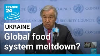 Russia-Ukraine war: UN chief warns of global food system 'meltdown' • FRANCE 24 English