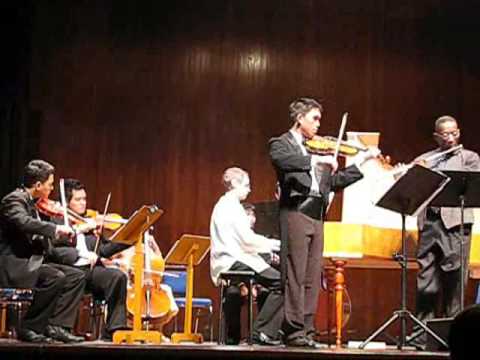 JS Bach Brandenburg Concerto No 5 in D (1st moveme...