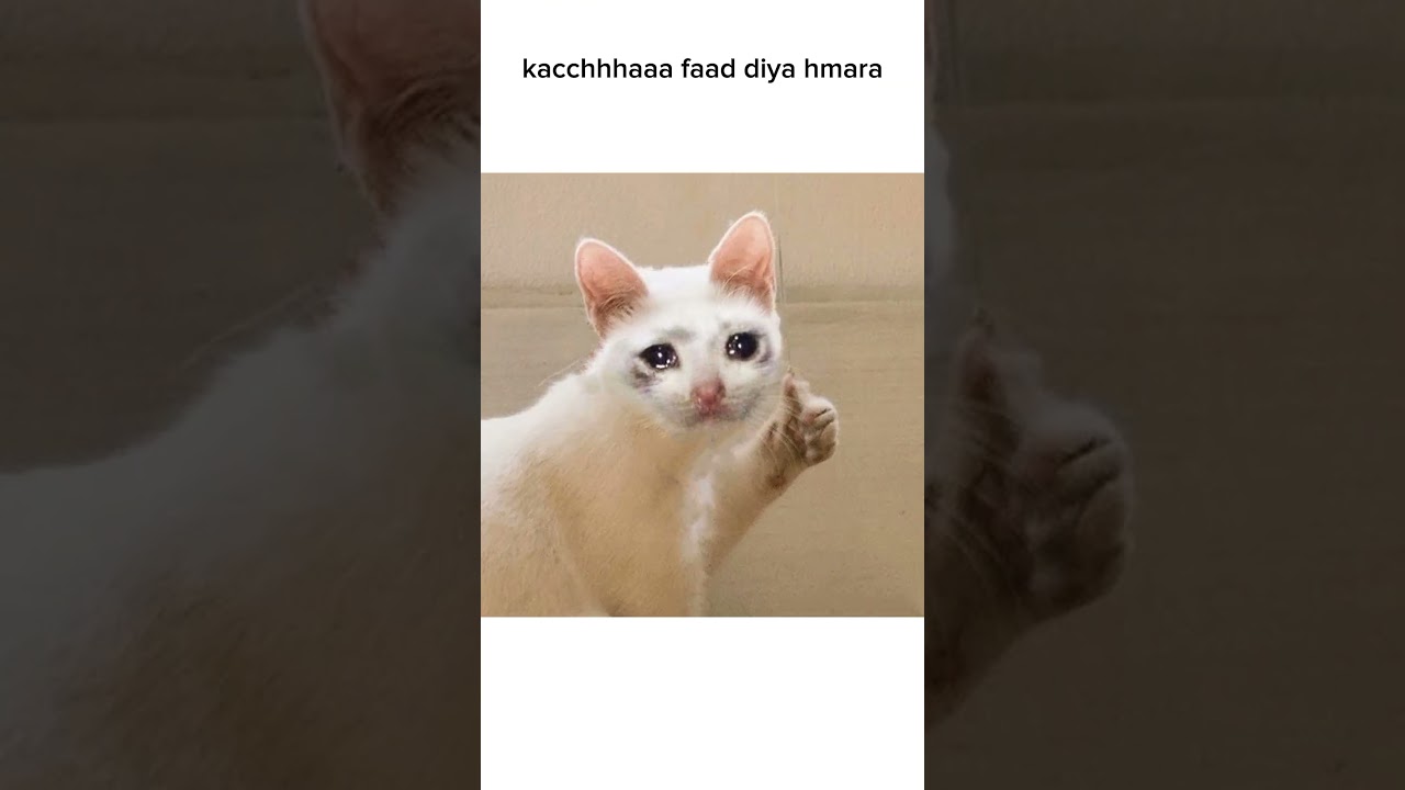 Maths padhu ya science 