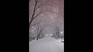 Snow-Prod By Adrian