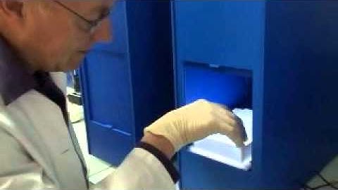 ZebraFish larvae behavior Tracking in 96 well mircoplate - ZebraBox