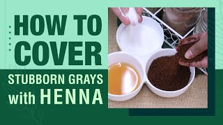 How to cover Stubborn Gray Henna | Cover Hair Grays with Natural Ingredients