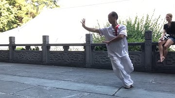 Bagua Zhang Kung Fu - Jiangstyle by Li Laoshi 李建民